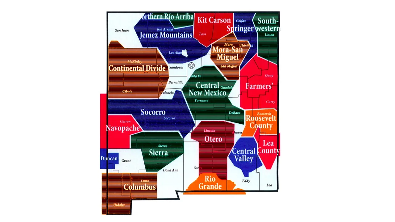 New Mexico utility and public power districts map
