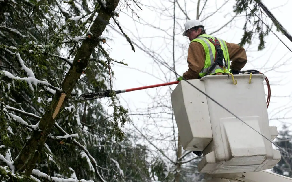 Lineman in Washington