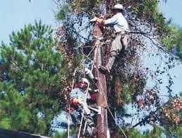 IBEW 949 · Burnsville cover