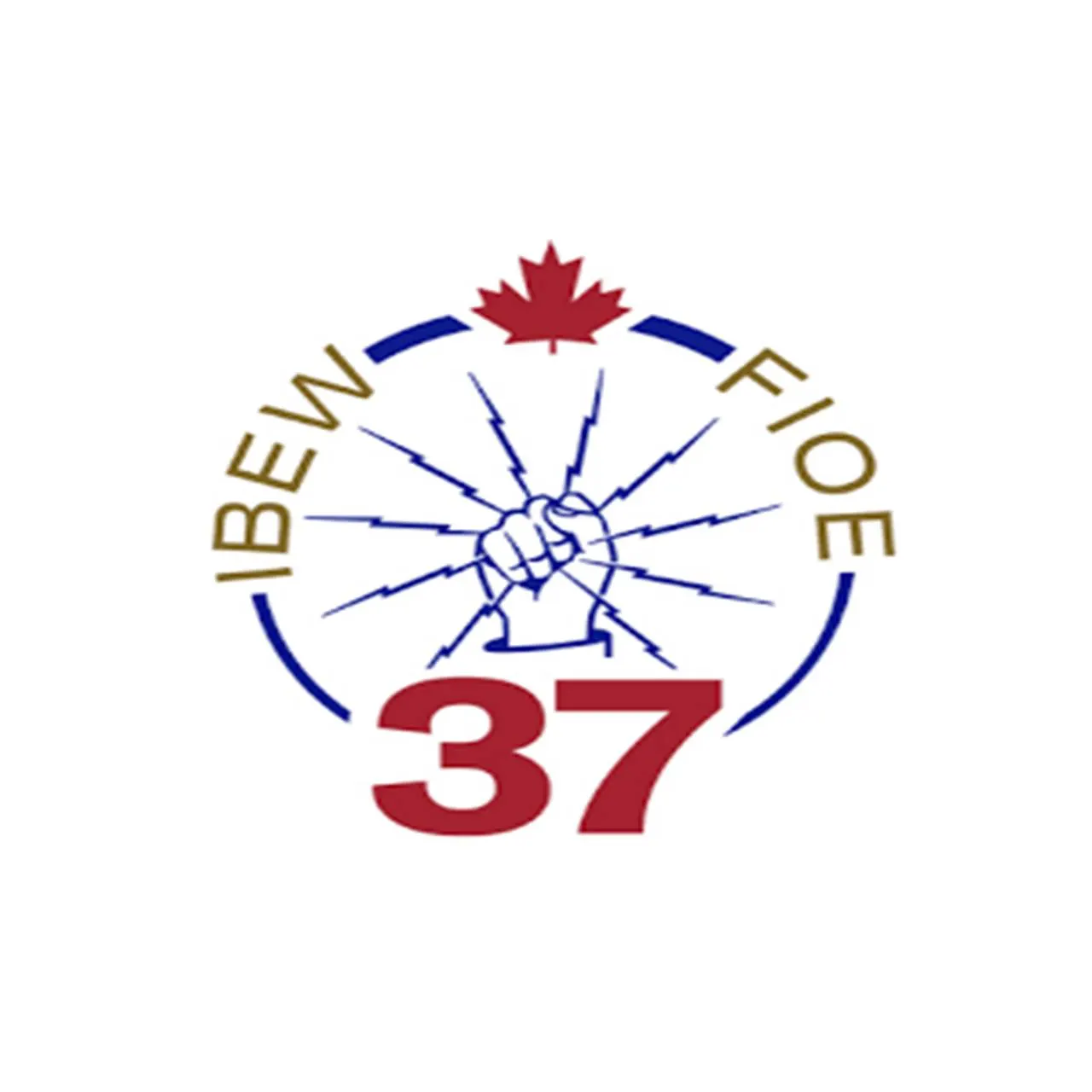 IBEW 37 · Fredericton profile