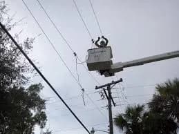 IBEW 1205 · Gainesville cover