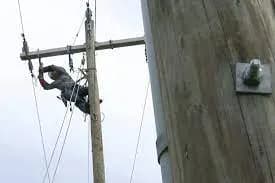 IBEW 733 · Pascagoula cover