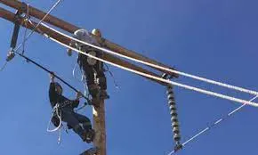 IBEW 769 · Phoenix cover