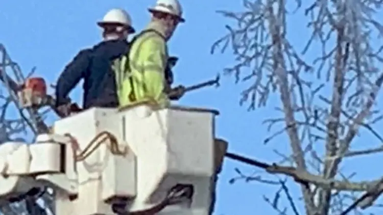 IBEW 125 · Portland cover