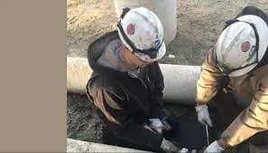 IBEW 50 · Richmond cover