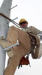 IBEW 558 · Sheffield cover