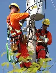 IBEW 1620 · St. John's cover