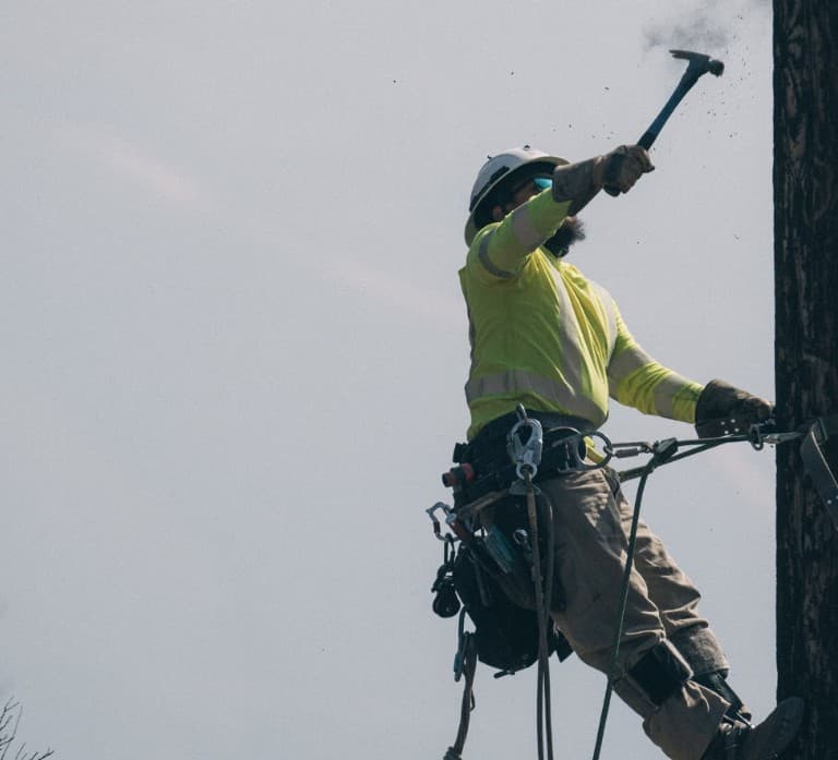 Lineman on hooks hammering on a pole under open sky