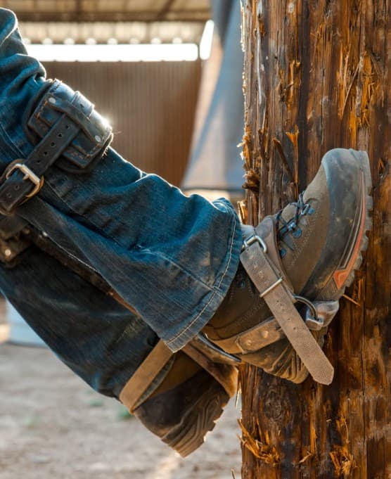 Climbing spikes dug into a weathered pole