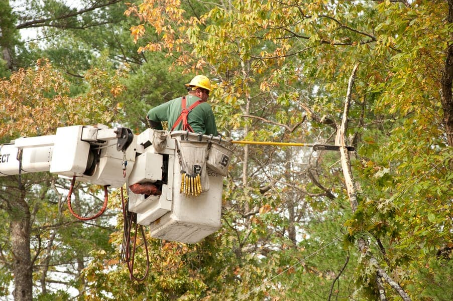 experience needed for lineman jobs