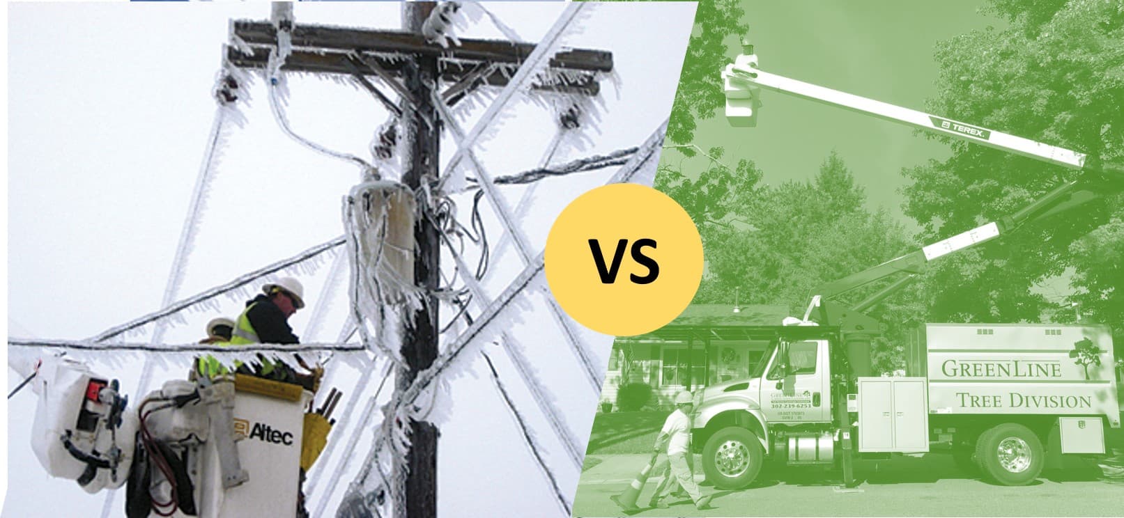 lineman and tree trimmers
