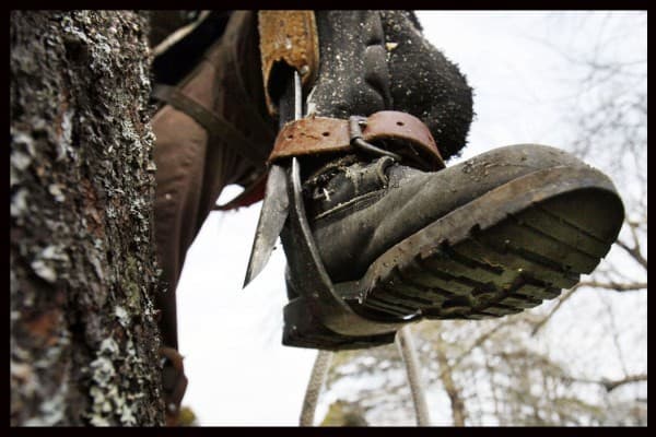 lineman climbers