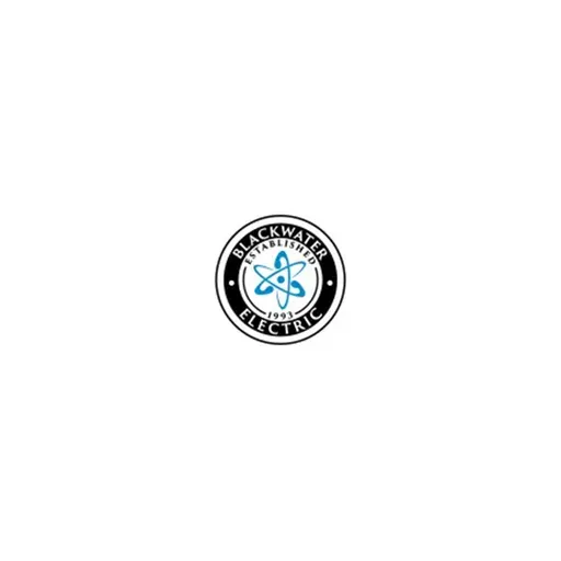 Black Water Electric logo