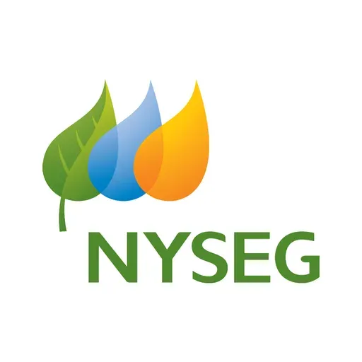 New York State Electric and Gas logo